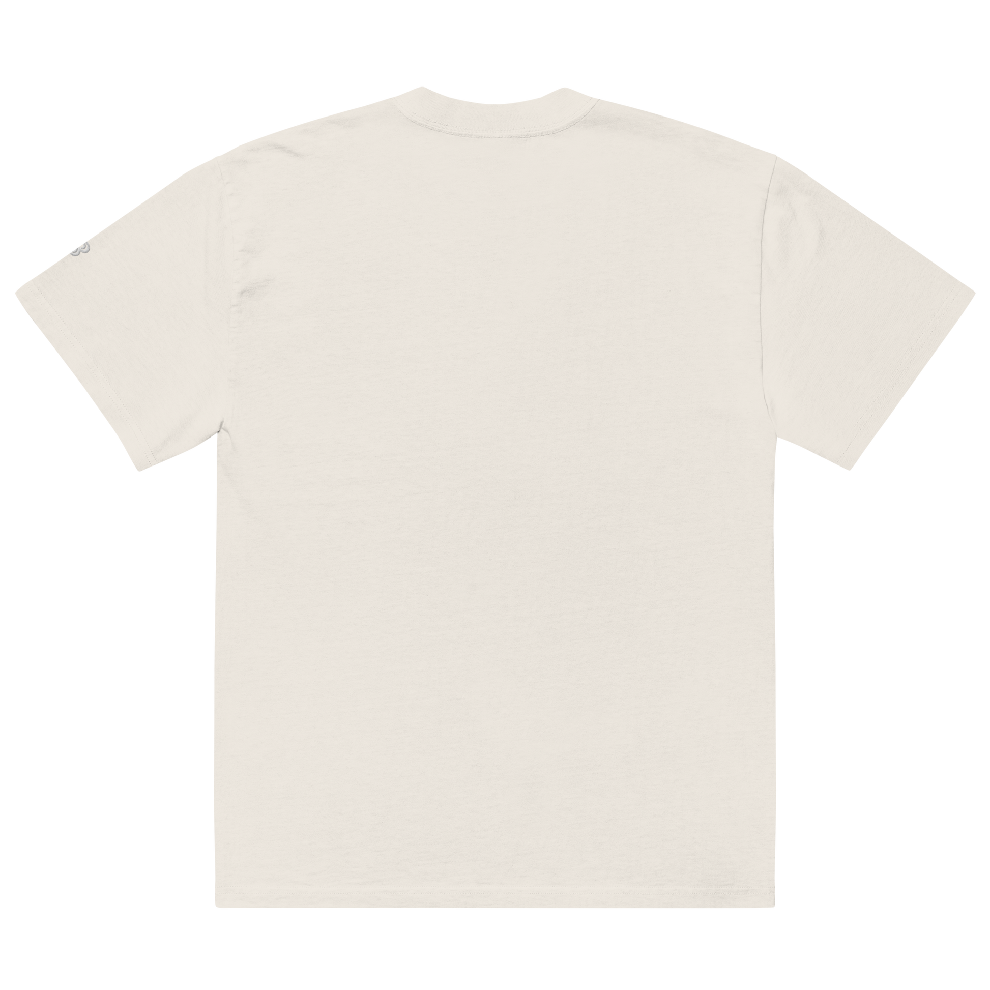 SB Logo Oversized faded t-shirt – BaeWatchers SB Logo Oversized faded t-shirt – BaeWatchers