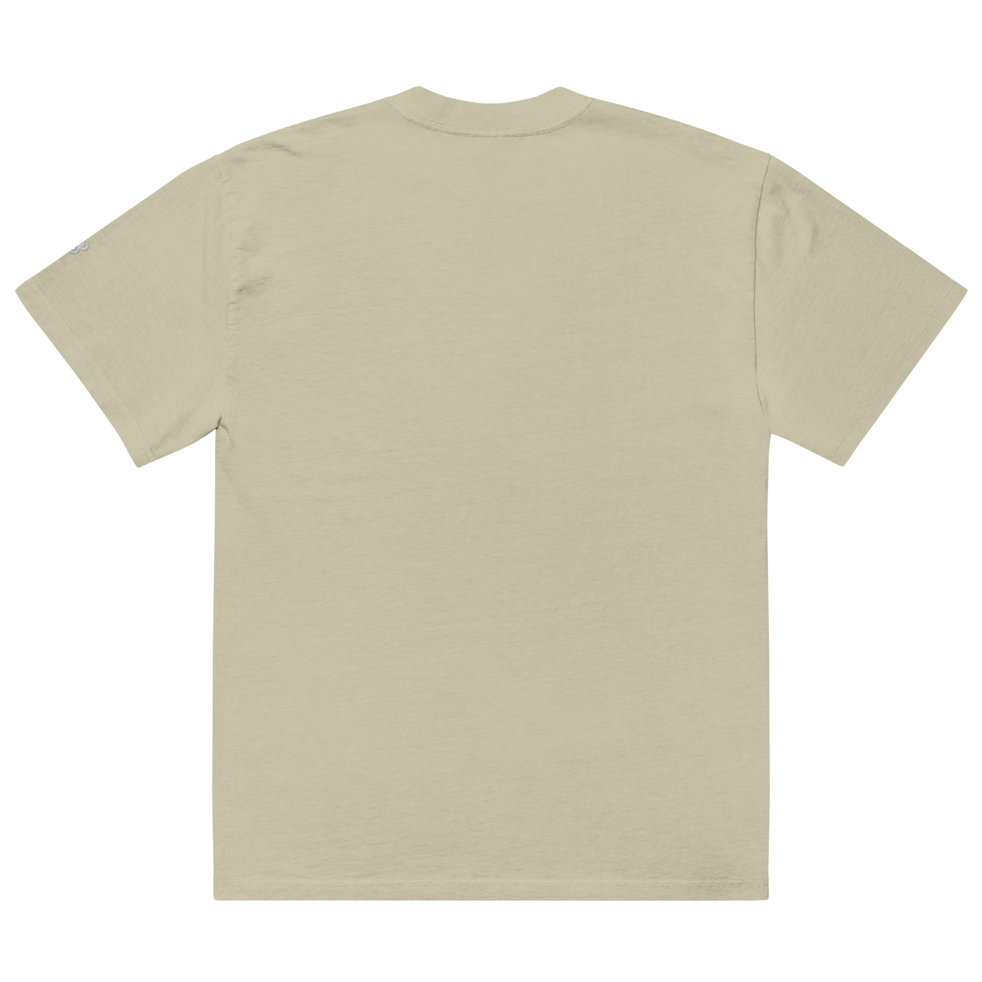 SB Logo Oversized faded t-shirt – BaeWatchers SB Logo Oversized faded t-shirt – BaeWatchers